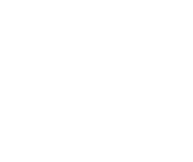Shiraz Hotel logo