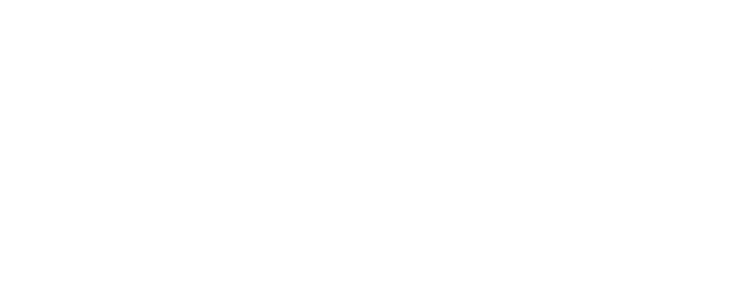 Denzal More & Better Hair logo